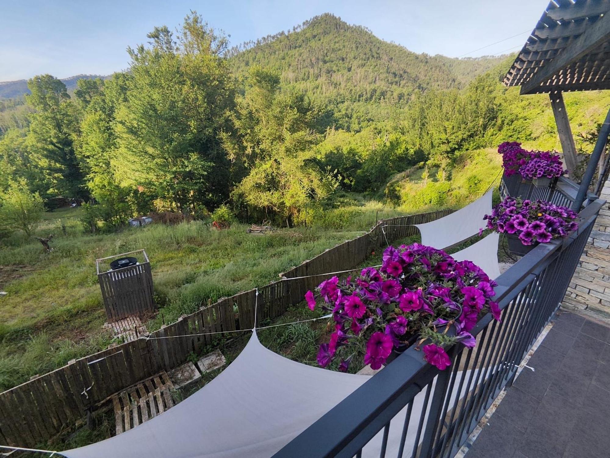 Agriturismo Terre Di Ginepro Borghetto di Vara Kültér fotó